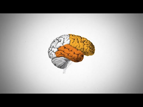 Videó: Az Amyotróf Laterális Szklerózis és A Frontotemporalis Demencia Genetikájának Kibővítése