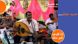 محمد عايش - انا قلبي قنع منك | افراح ال اليماني | سهرة الجمعة | لايف ستريم للانتاج التلفزيوني