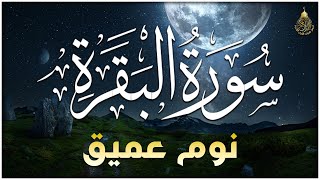 سورة البقرة كاملة تلاوة هادئة تريح الاعصاب💚 قران كريم 💚 بصوت جميل جدا جدا 💚💤تلاوة هادئة للنوم 😴