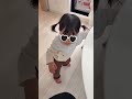 【生後10ヶ月】歩き始めたり、おしゃべり？したりに喜ぶパパ