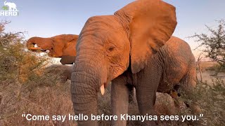 A Big Surprise From Timisa 🩷 Quality Time with Elephants Kumbura, Zindoga & Baby Khanyisa 🐘