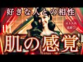 相性👠 魅力🍎お相手と奏でるロマンス【タロット占い】