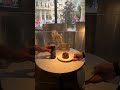 Satisfying Cafe Transitions | Aesthetic Dessert & Coffee ☕️✨