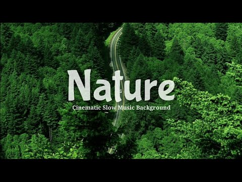 backsound-cinematic-nature-slow-|-koceak-music
