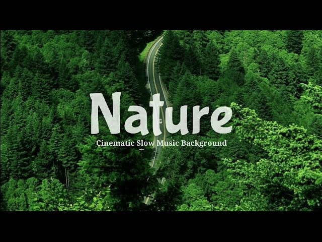 Backsound Cinematic Nature Slow | Koceak Music class=