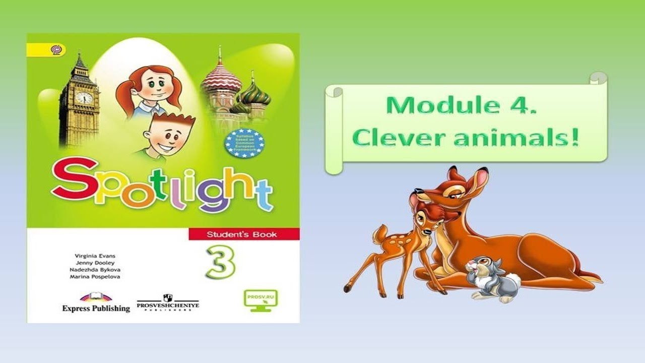 Spotlight 3 модули. Clever animals 3 класс Spotlight. Спотлайт 3 Clever animals. Английский язык Spotlight 3 Clever animals. Спотлайт 3 10 a Clever animals.