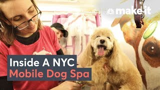 What It Takes To Run A Dog Grooming Business In NYC