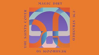 Magic Dirt - (I&#39;m) Stranded (Official Visualiser)