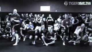 Grappling Seminar With UFC Veteran Jake Shields, Tiger Muay Thai &amp; MMA