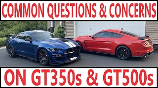 Common Questions & Concerns on Modern Shelby Mustangs