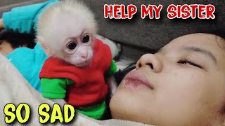 Be amazed by the intelligence of baby monkey Kiti