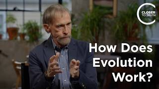 How Does Evolution Work? The Role of Development (Evo-Devo) | Alex Rosenberg Wealth