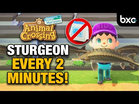 Video: „Animal Crossing Sturgeon“: Kaip Sugauti Ir Rasti Upės žiočių Vietą