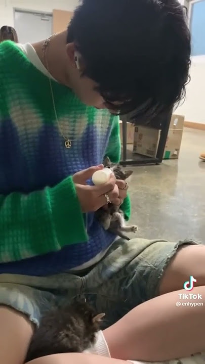 Rewind back to this cuz im not over it😭😭😭 he’s so gentle with that cat shsgsg #Heeseung #ENHYPEN