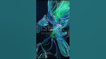 Unlocking Your Brain