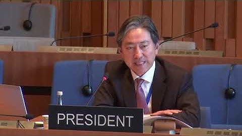 Open ended intergovernmental working group 2003 Convention - 25 04 Floor am part1