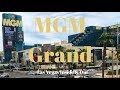 MGM Grand:  The Gold Standard for Entertainment-Themed Resorts