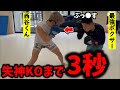 スパーリング中に西谷くんが失神？！BreakingDown６で戦った最強ボクサーに割とマジで強いパンチを貰う西谷くん【ブレイキングダウン/朝倉未来/朝倉海/瓜田/こめお/ばん中村/飯田さん】