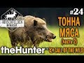 theHunter call of the wild #24 🔫 - Тонна Мяса (часть 2) - Винтовка - Кабан, Олень