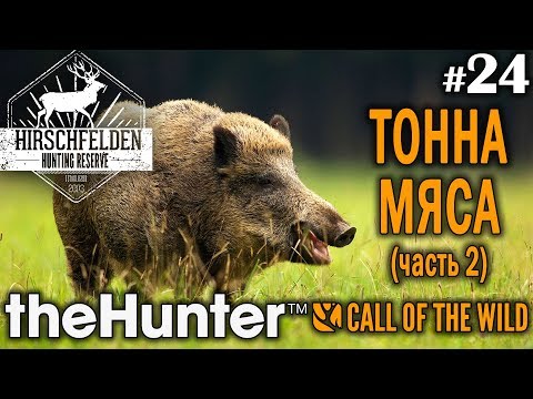 Видео: theHunter call of the wild #24 🔫 - Тонна Мяса (часть 2) - Винтовка - Кабан, Олень