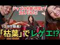 【コラボ企画】ジャズの名曲「枯葉」をいろんなリズムで演奏してみた!【ゲスト:阿部大輔Gt&津川久里子Bs】
