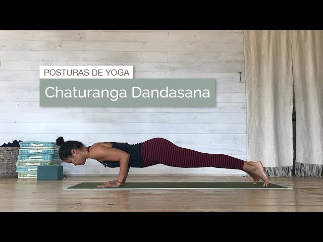 Chaturanga: Asana de preparación de brazos por excelencia 