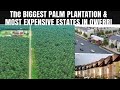 INSIDE THE MOST EXPENSIVE ESTATE |BEST ROOFTOP RESTAURANT &ADA PALM PLANTATION UPDATE