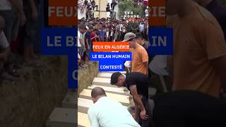 Feux en Algérie : le bilan humain contesté