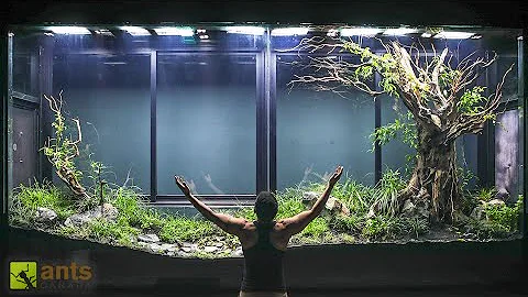 I Built a Giant Tropical Grasslands Vivarium