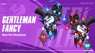 Pet Showcase New Pets Gentleman Fancy Coming Soon