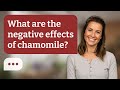 What are the negative effects of chamomile? | Chamomile Risks
