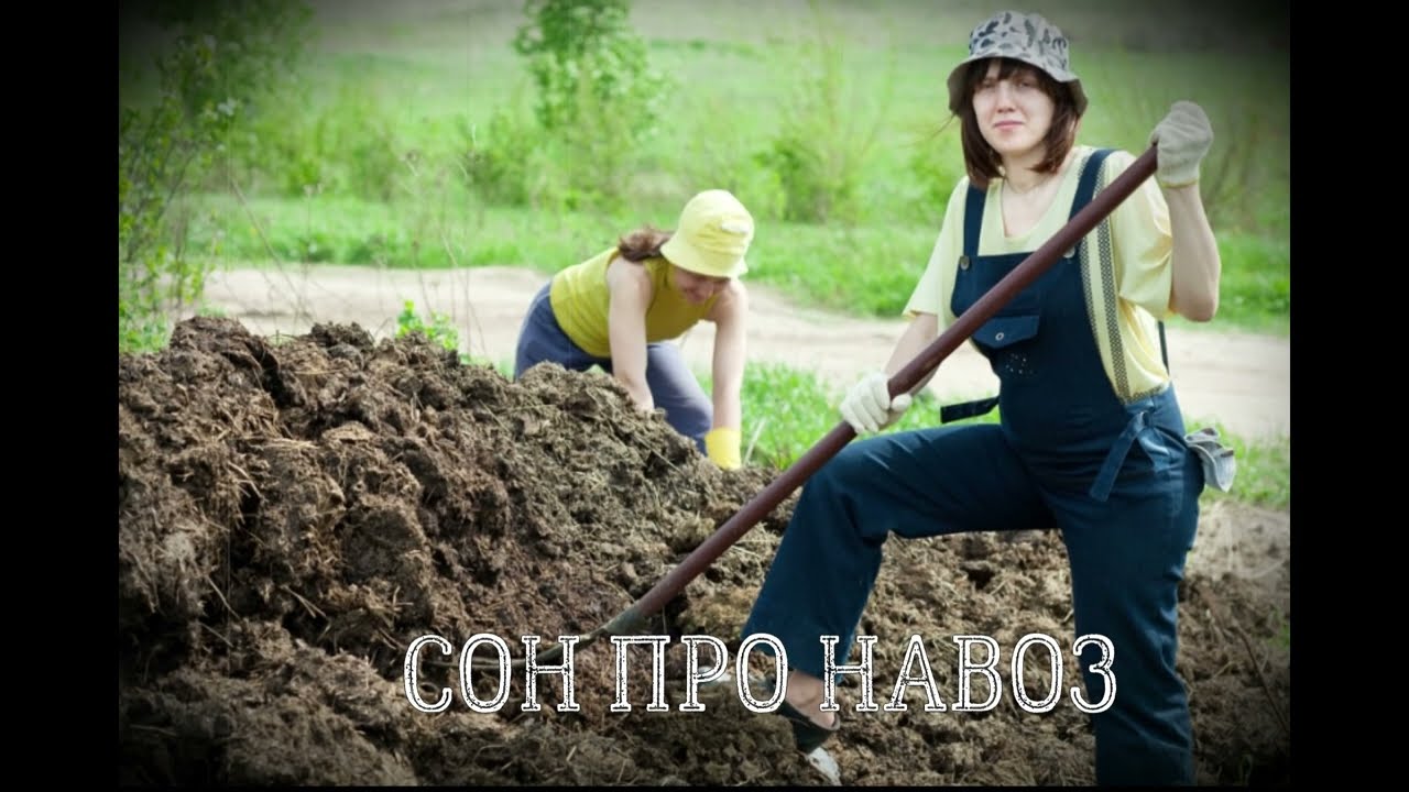 Сон про навоз