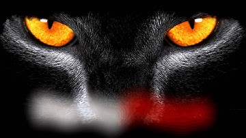 Adobe After Effects CS4 Intro: Attempt 1