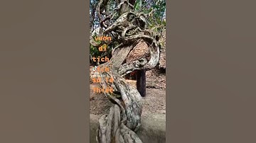 khu di tích quân sự tà thiết