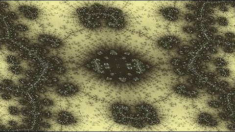 Ukraine`s Three Branches Trees E75 @720p Deep Zoom.