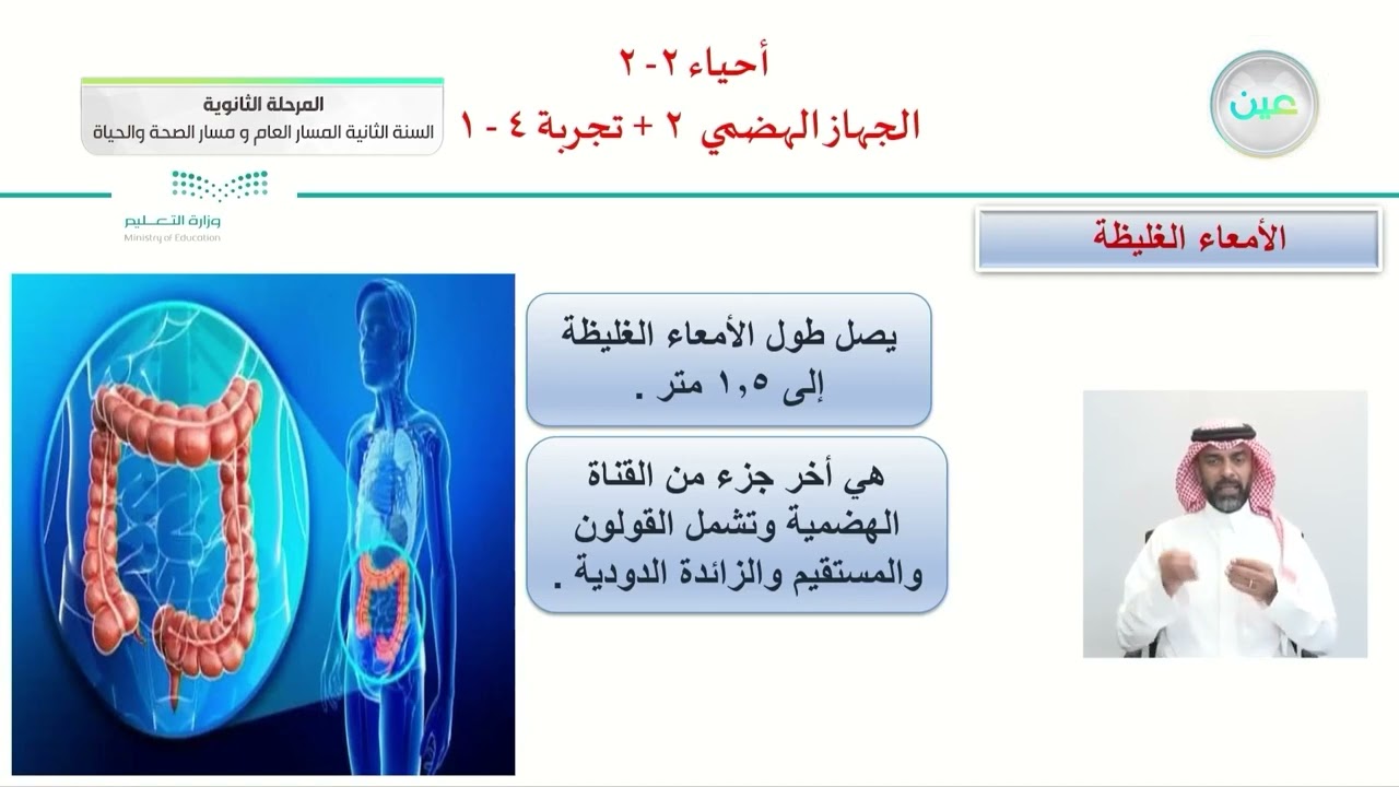 الجهاز الهضمي 2 + تجربة 4- 1 - الأحياء (2-2) - المسار العام والصحة والحياة - السنة الثانية