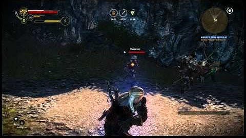 The Witcher 2 - Adam Pangratt