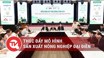 Thúc đẩy mô hình sản xuất nông nghiệp đại điền | Truyền hình Quốc Hội Việt Nam