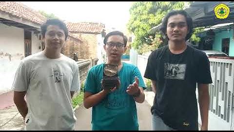 Timbangan Digital Sederhana