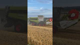 8900 Claas Lexion harvesting Barley during #harvest2023 #claas #lexion #combineharvester #farming