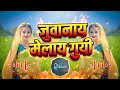 Juwanay Melay Gayi 🔥 | Nawali Adivasi Song 2026 | Dangra Wavi | Hashiram Alawe | DJ Ramesh Nigwal