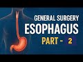 Esophageal Perforation | General Surgery Lecture Part 2