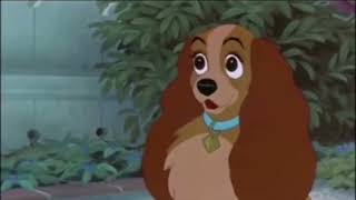 Lady And The Tramp Website Promo