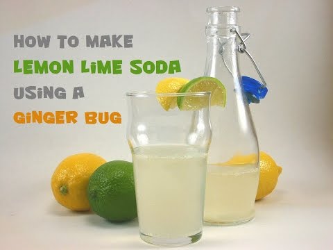 lemon-lime-soda-recipe-using-a-ginger-bug