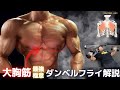 【◯◯を随意的に動かす】ダンベルフライ極意解説