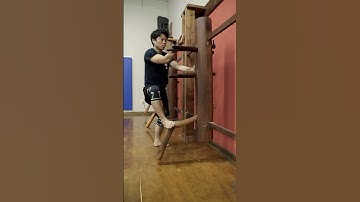 Wing Chun Wooden Dummy Demo #wingchun #slowmotion