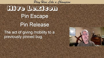 Hive Lexicon - Pin Release