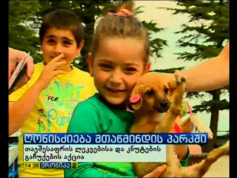 ლეკვების გაჩუქების აქცია მთაწმინდის პარკში