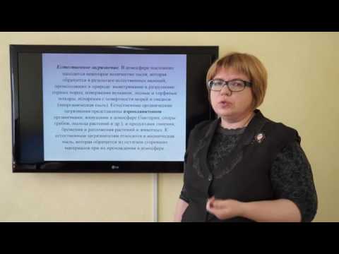 Жирнова Д.Ф. Приоритетные загрязняющие вещества воздушной среды