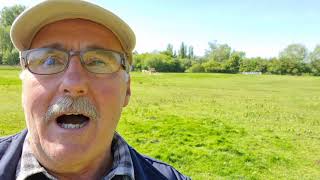 Alpaca care - Hensting Alpacas by Alpaca Walking Hensting Alpacas 508 views 3 years ago 2 minutes, 31 seconds